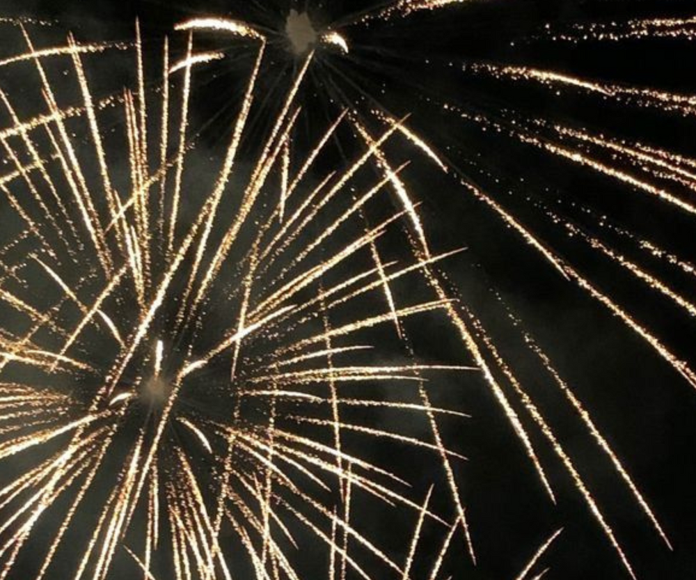 [FIREWORKS] zo bereid je jouw huisdier voor