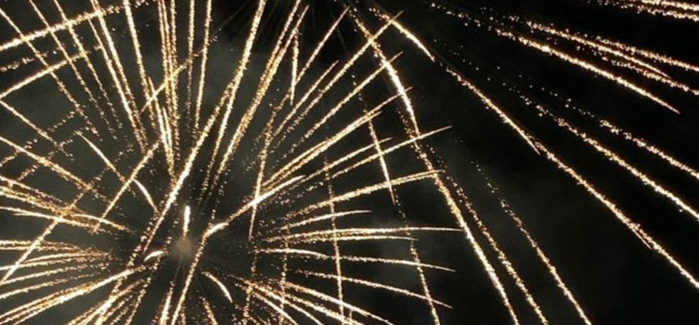 [FIREWORKS] zo bereid je jouw huisdier voor