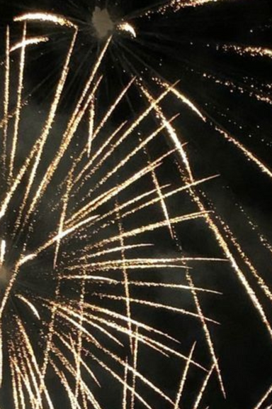 [FIREWORKS] zo bereid je jouw huisdier voor