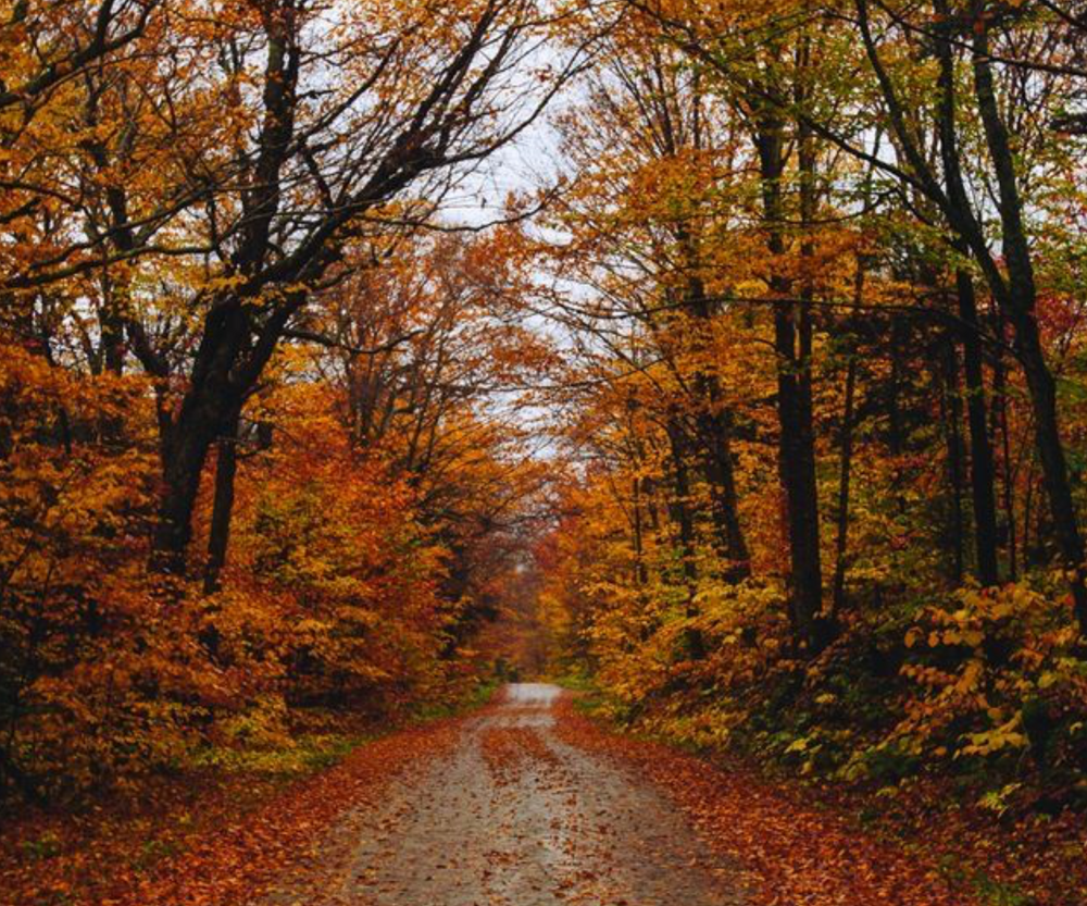 [INTROVERTS OPGELET] Deze 4 herfstactiviteiten geven jou energie