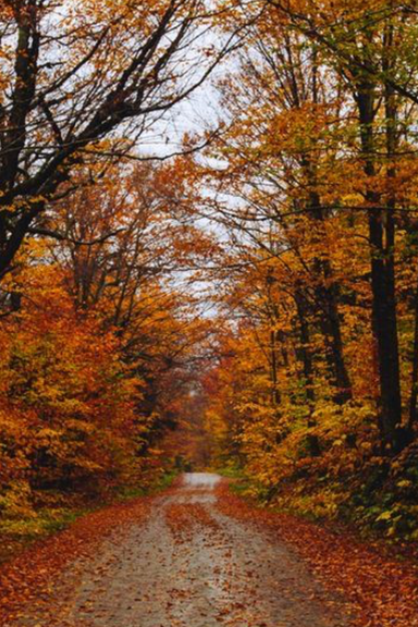 [INTROVERTS OPGELET] Deze 4 herfstactiviteiten geven jou energie