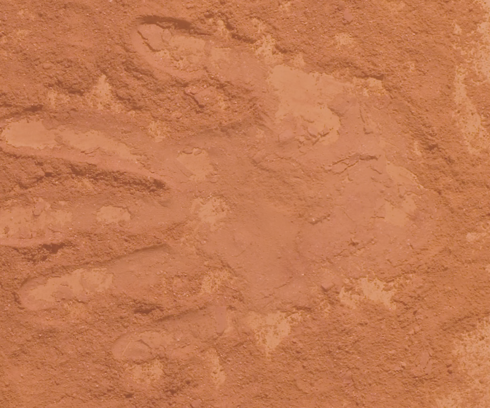 [OLCAY:] Het EK is niet voor iedereen even leuk