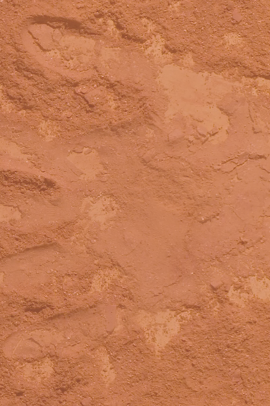 [OLCAY:] Het EK is niet voor iedereen even leuk