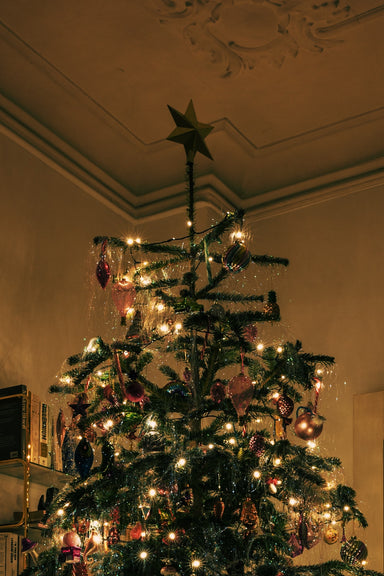 [MERRY GUSHMAS] Dit zijn de gezondheidsvoordelen van een echte kerstboom in huis