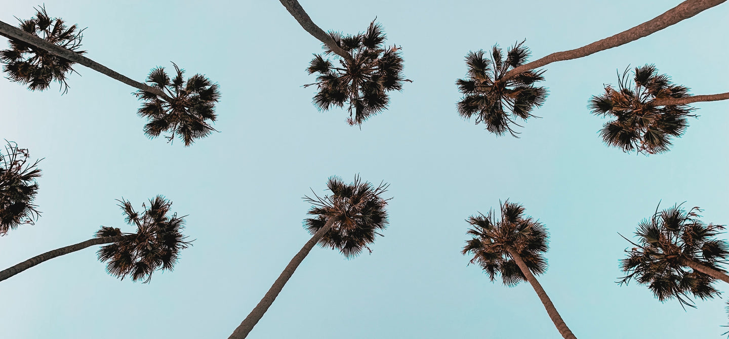 [THE ISLAND LIFE:] déze hotspots op Bali wil je zeker niet missen