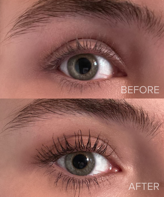 ELEGANT EYE BUNDLE